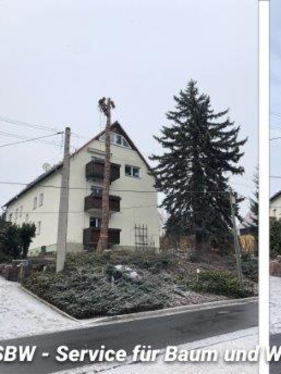baumfällung Kabschütztal