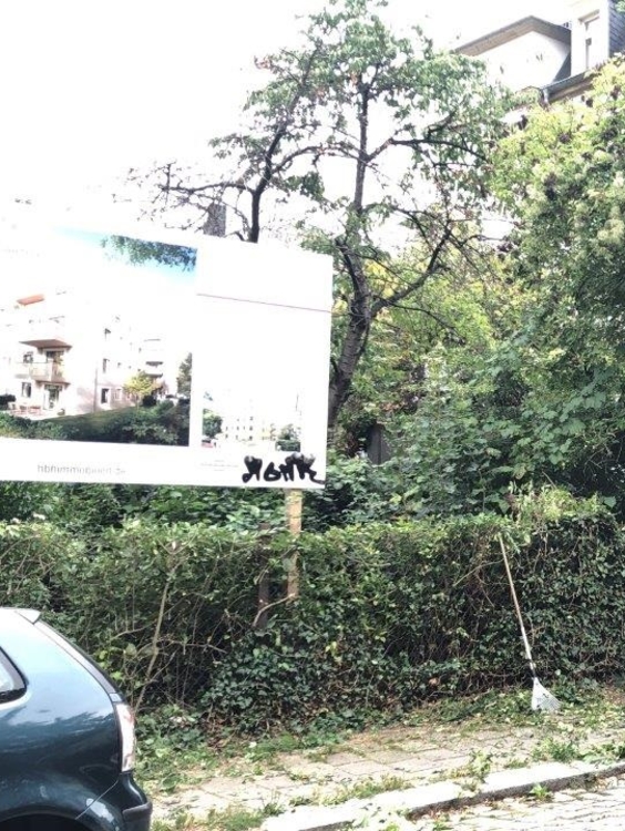 Heckenausschnitt in der Höhe
