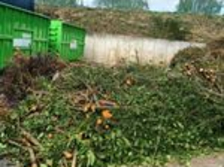 Grünschnittentsorgung