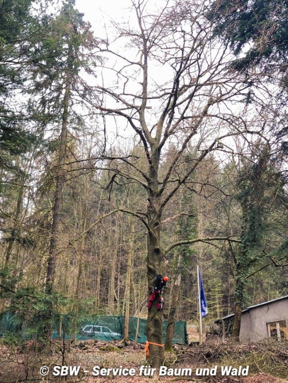 Der Aufstieg beginnt