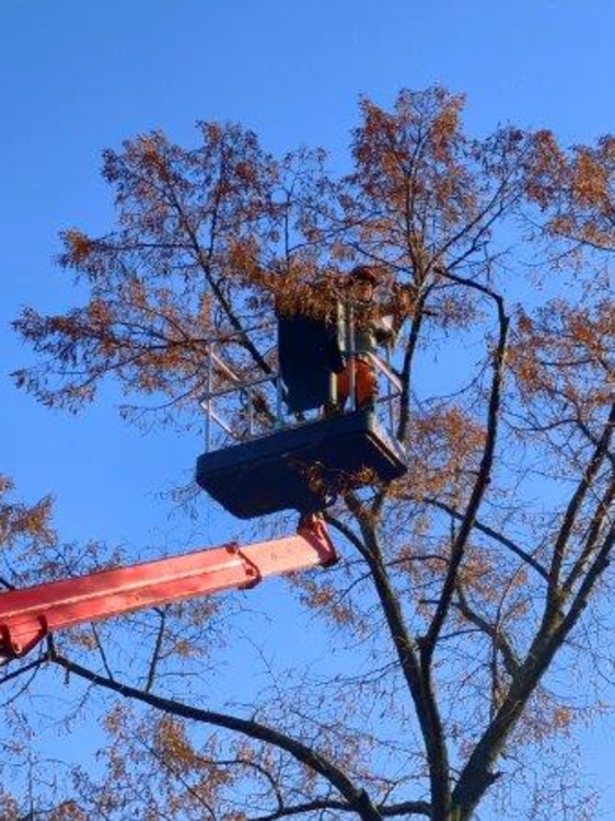 Arbeiten mit dem Hubsteiger