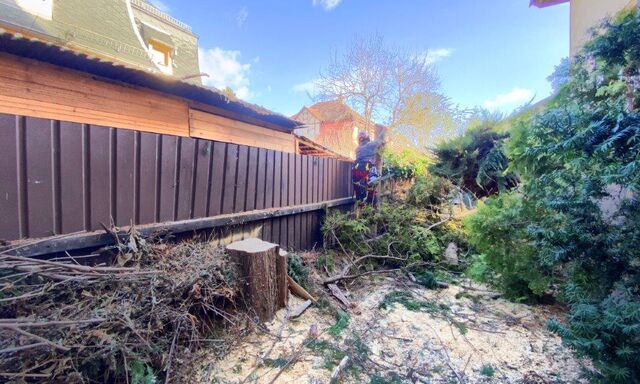 Sturmschaden am Baum: Was tun, wer zahlt?