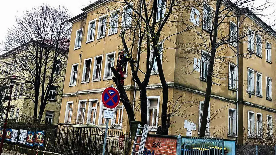 Problembaumf&auml;llung und Risikobaumf&auml;llung