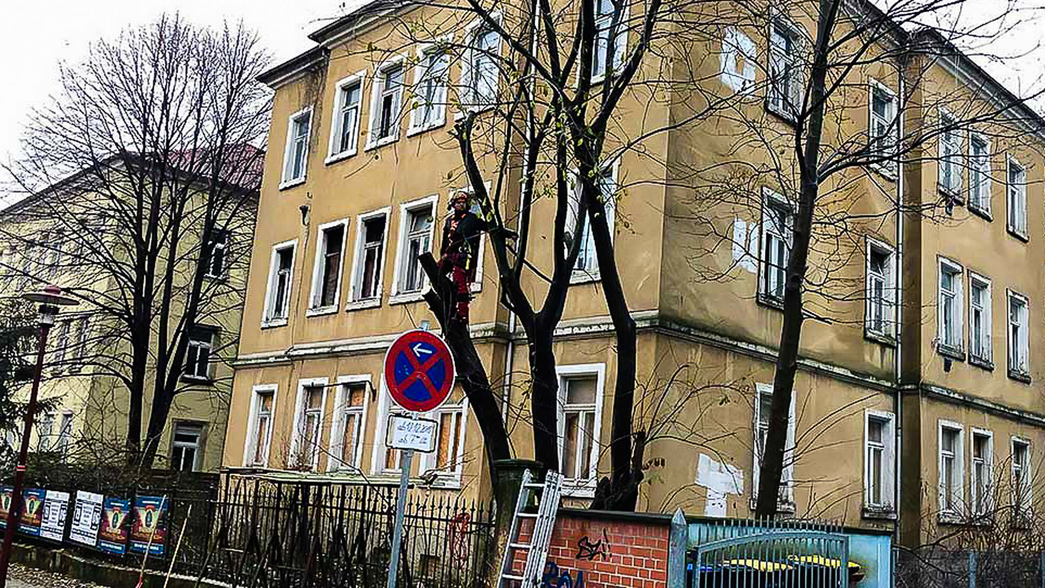 Problembaumfällung und Risikobaumfällung