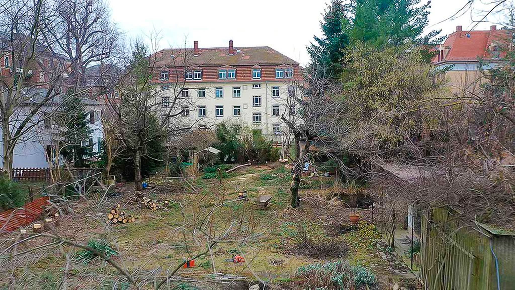 Baugrundstück- und Baufeldräumung