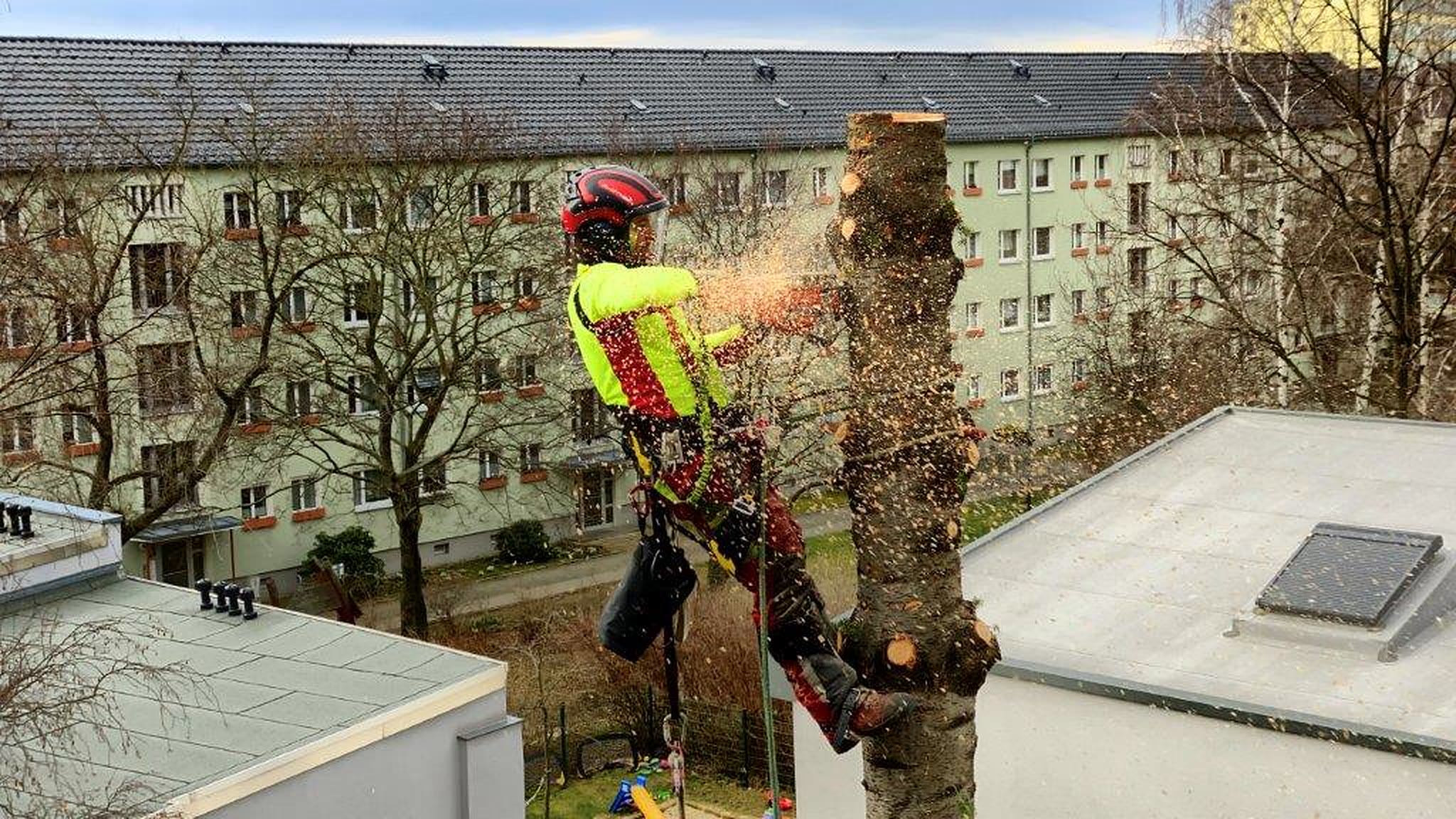Baumfällung im Innenhof