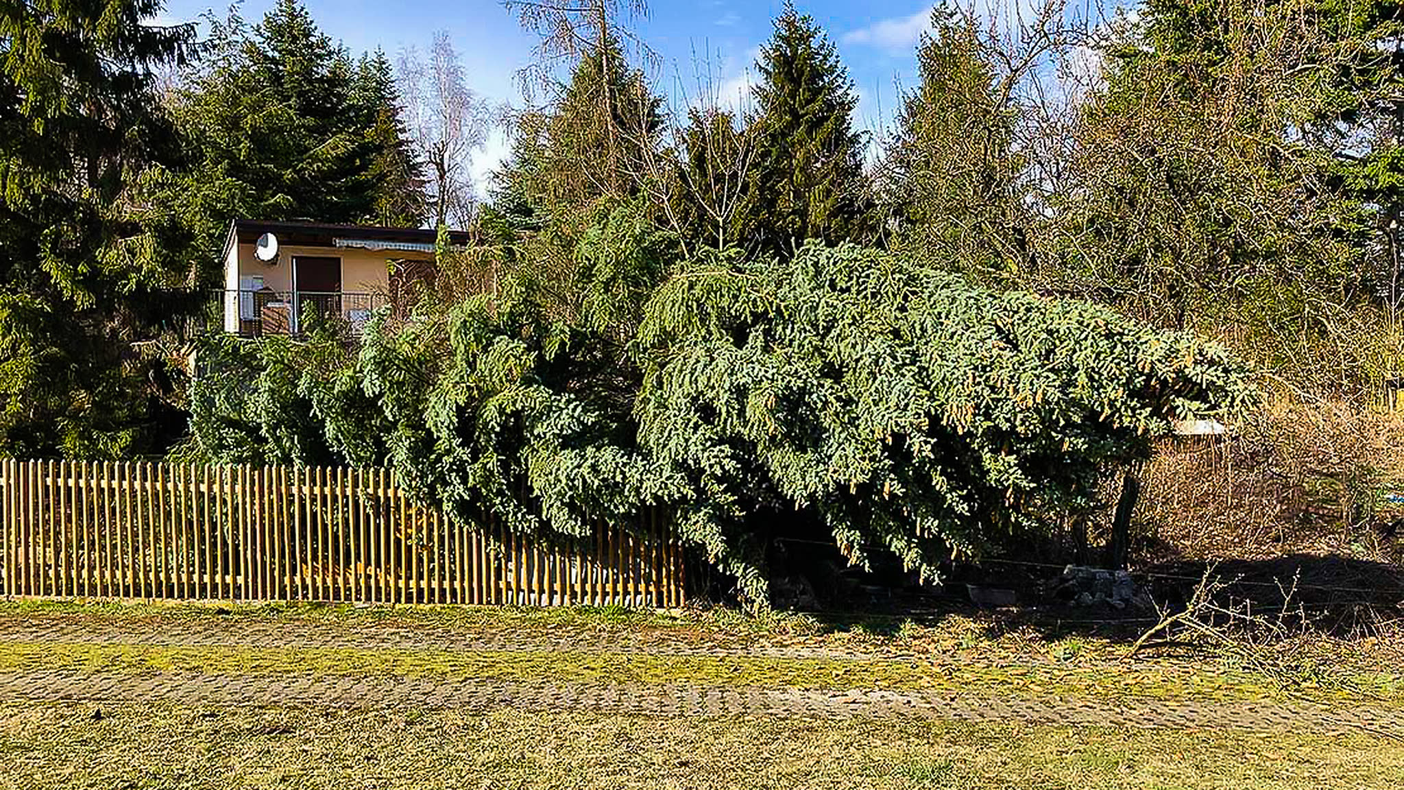Sturmschaden am Baum: Was tun, wer zahlt?