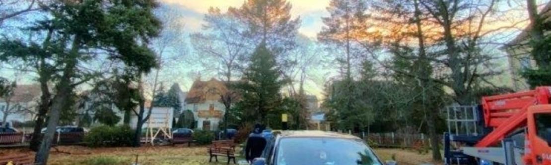 Baufeldräumung mit Baumfällern in Radebeul
