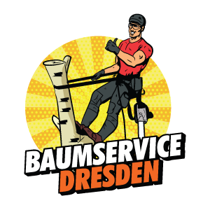 Baumservice Dresden